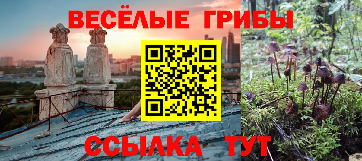 Псилоцибиновые грибы Psilocybine cubensis  Псилоцибиновые грибы Magic Shrooms  Вход с VPN  Архангельск 