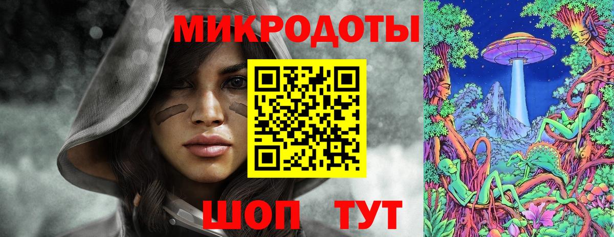 Псилоцибиновые грибы Psilocybe Архангельск