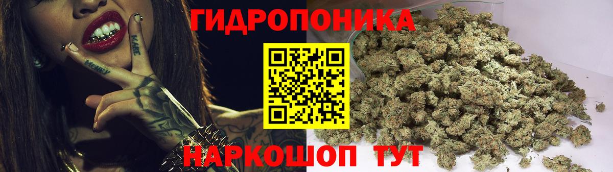 Бошки марихуана OG Kush  МАРИХУАНА марихуана  Марихуана VHQ  Вход с VPN  Архангельск 